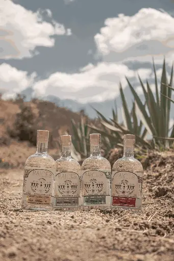 Kit personalizado de 4 Botellas